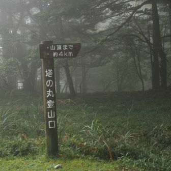 登山口

車は2台駐車してありました