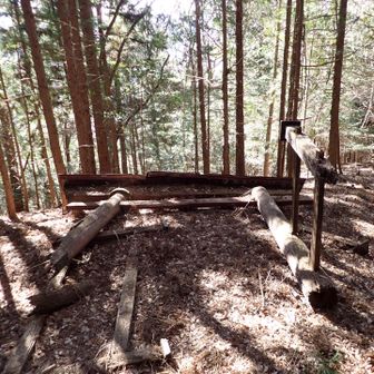 朽ちた鳥居⛩️