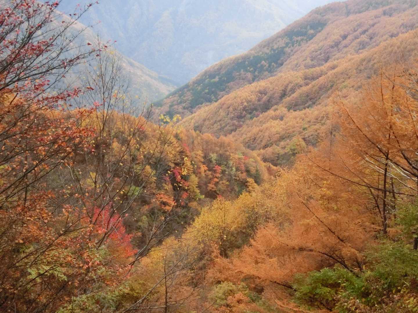 谷もキレイ✨