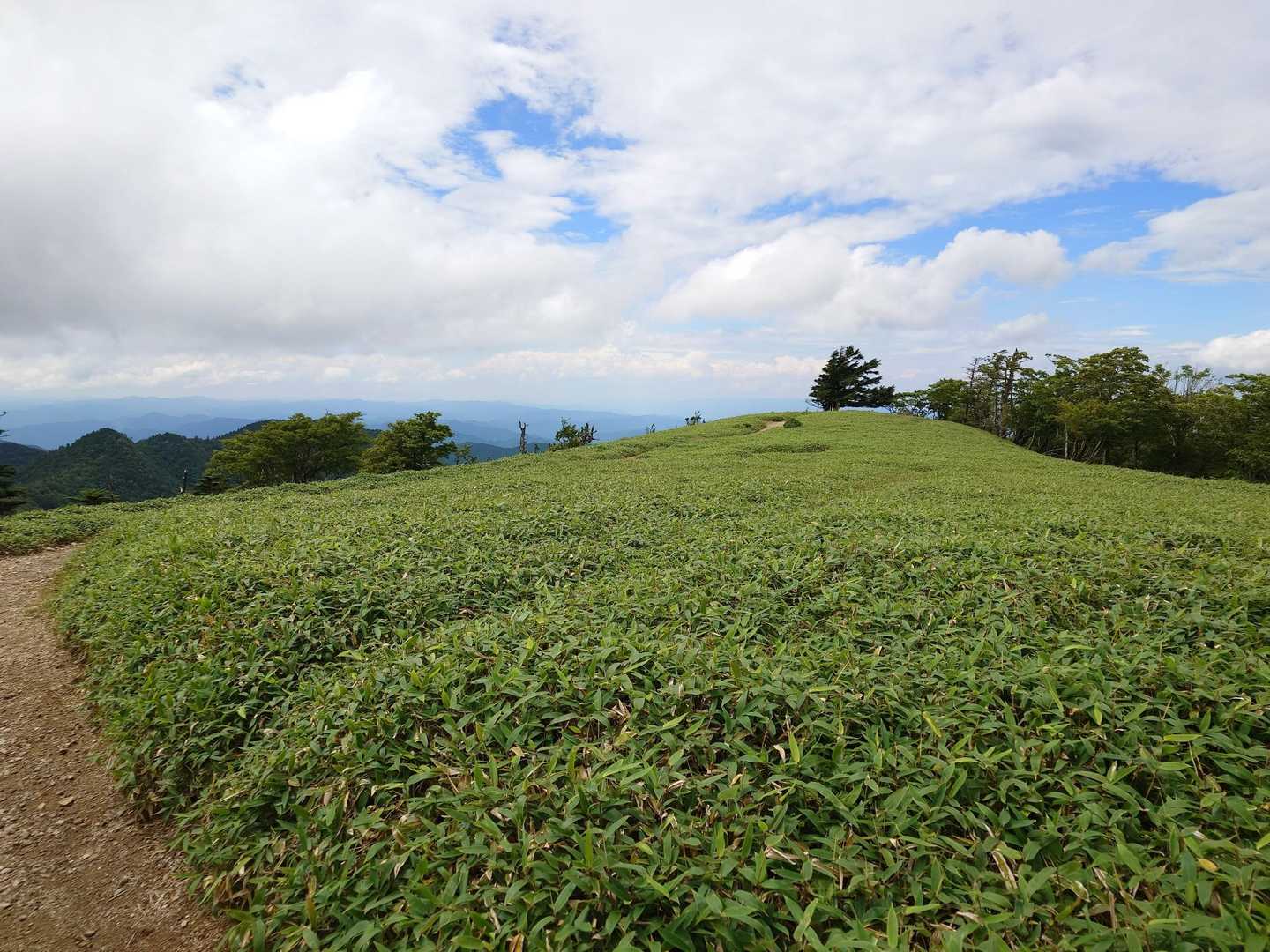 お花畑ではきれいな青空が！
しかし、風は強かったです