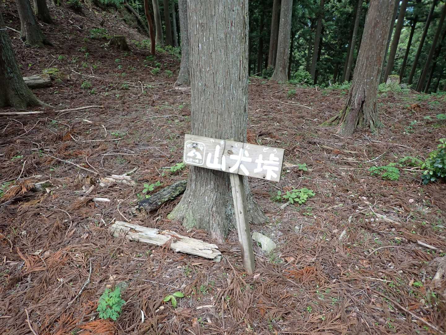 「やまいぬとうげ」と読んだのは僕だけじゃないはず