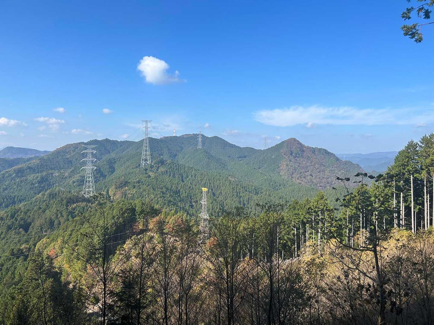 日本ヶ塚山方面。

約1年前、奇特な私を誘ってくれた花博士と
初めてデートした山⛰️

彼は絶対あの山が始まりだった事を忘れている🥺