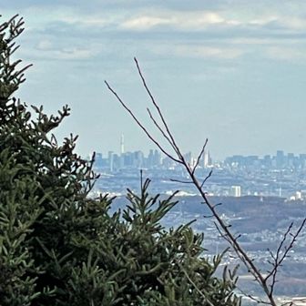 またまたスカイツリー