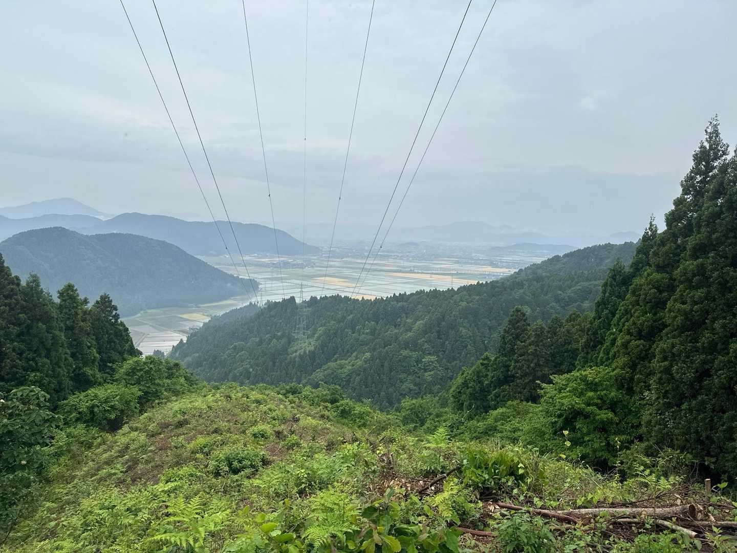 鉄塔からの景色