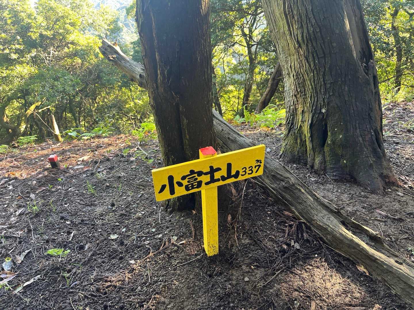 小富士山-飯岳山-呉ダム登山口 縦走コースの写真