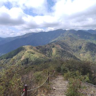 遠くに見える塔ノ岳山頂へ。レッツゴー！