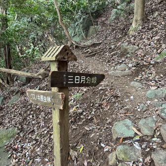 三日月分岐の上の方から降りてきた
歩きやすい道に入ったら、小走りする
人がいないと、こわいから
