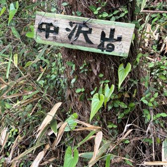 中沢山の標識も見逃すところでした💦