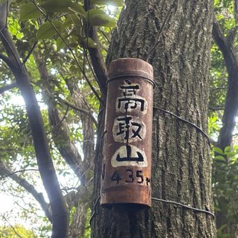 竹細工の高取山ピーク