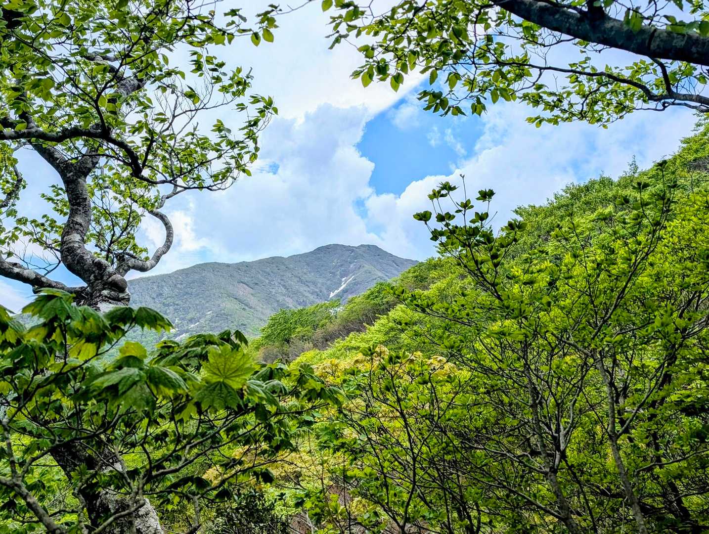 🏞️不忘山　