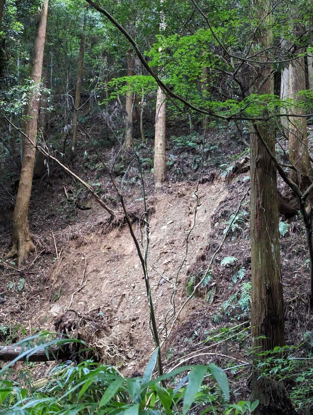 正面参道を外れて、山道を見ると、大雨の被害がありそうでした。
