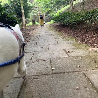 水汲み場へ