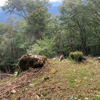 御前山の手前に猿🐒が数頭いました。
この猿おとなしそうな感じがしましたが、それでも怖いです😱