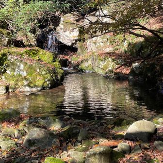 女神様は居ませんが。、。