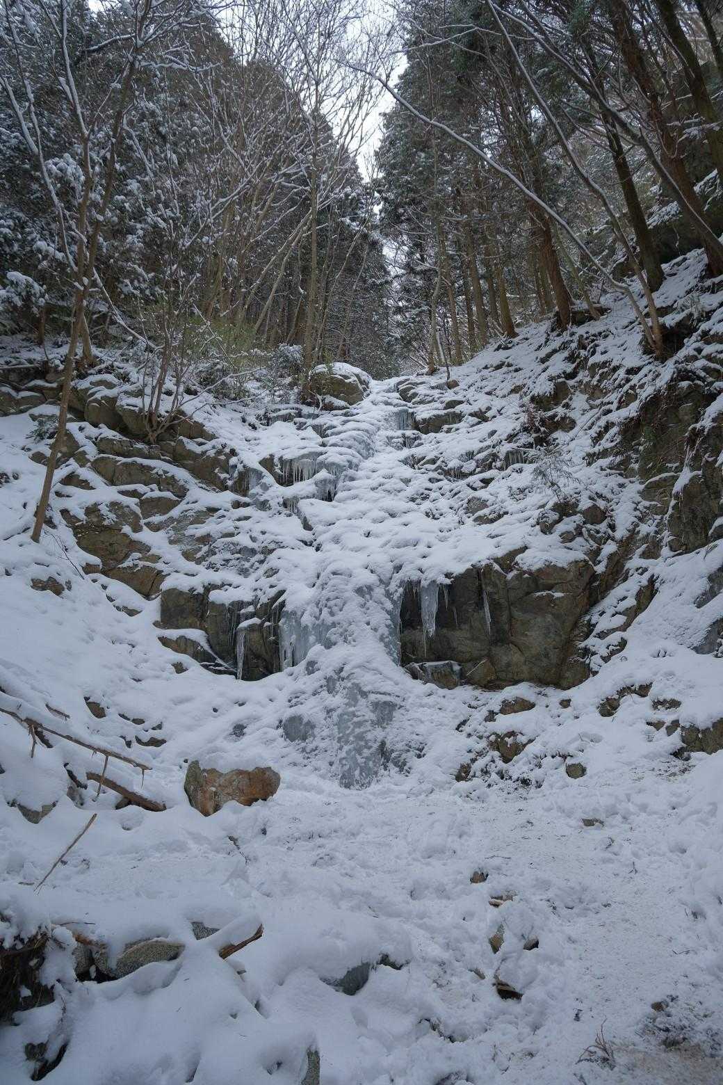 千早本道登山口-タカハタ谷登山口-金剛山-百ヶ辻登山口 縦走コースの写真