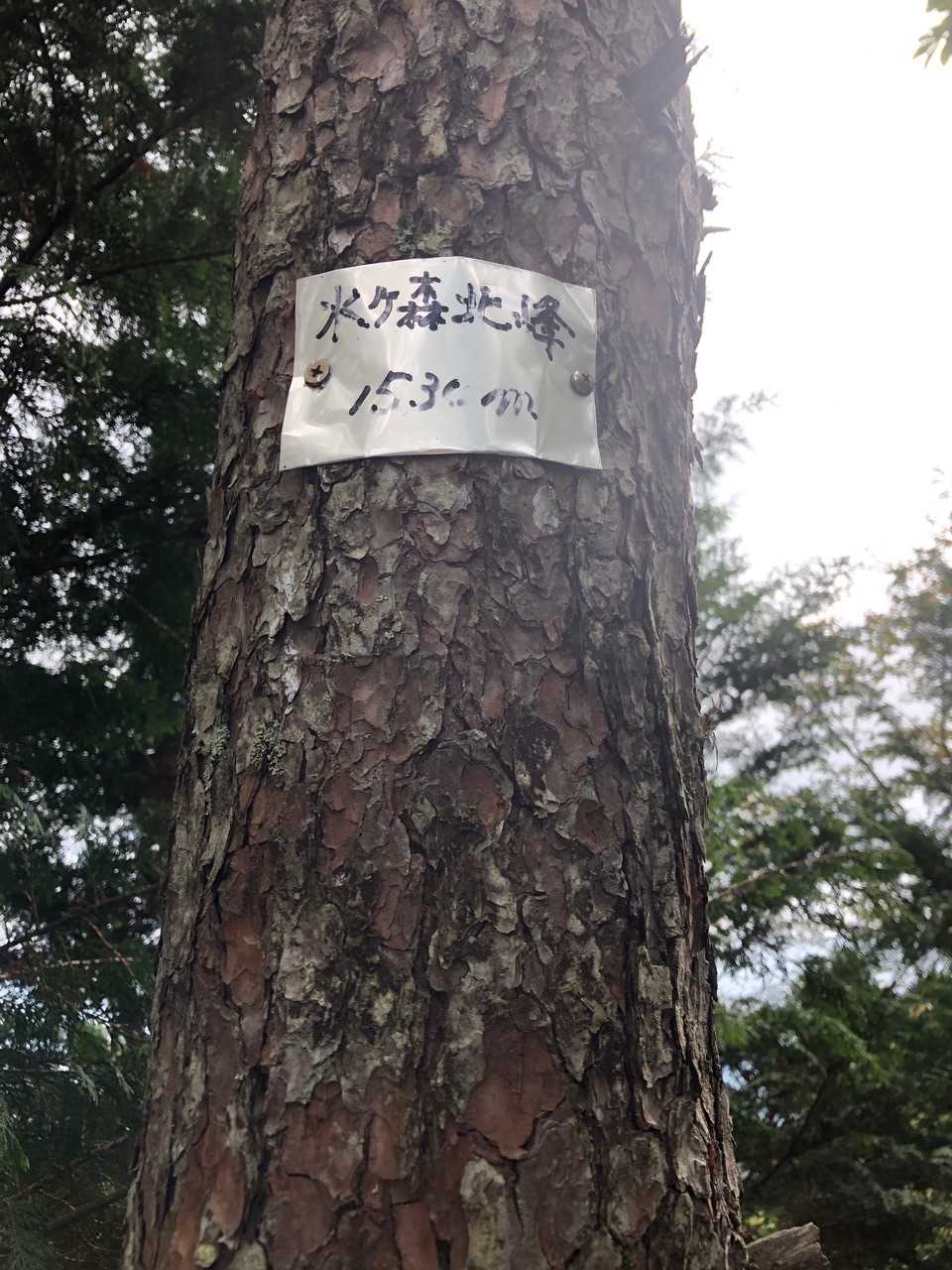 水ヶ森北峰だった！気がついて良かったぁ。