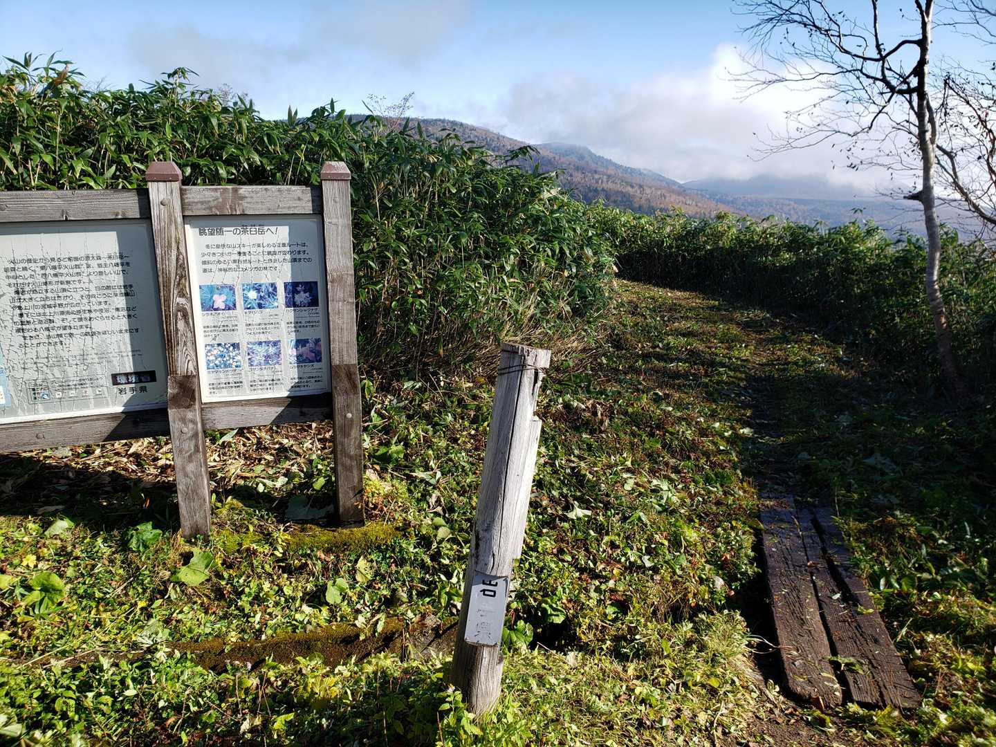 登山口はきれいに刈払いされていて、安心してスタートできました。