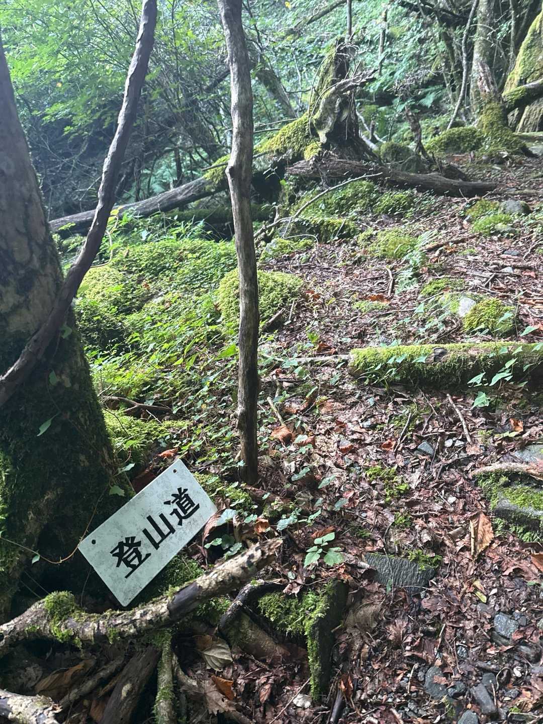 道中看板あり🙏