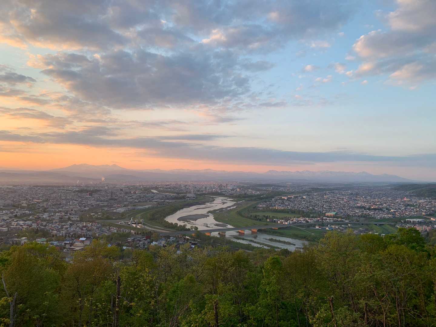 嵐山-近文山 往復コースの写真