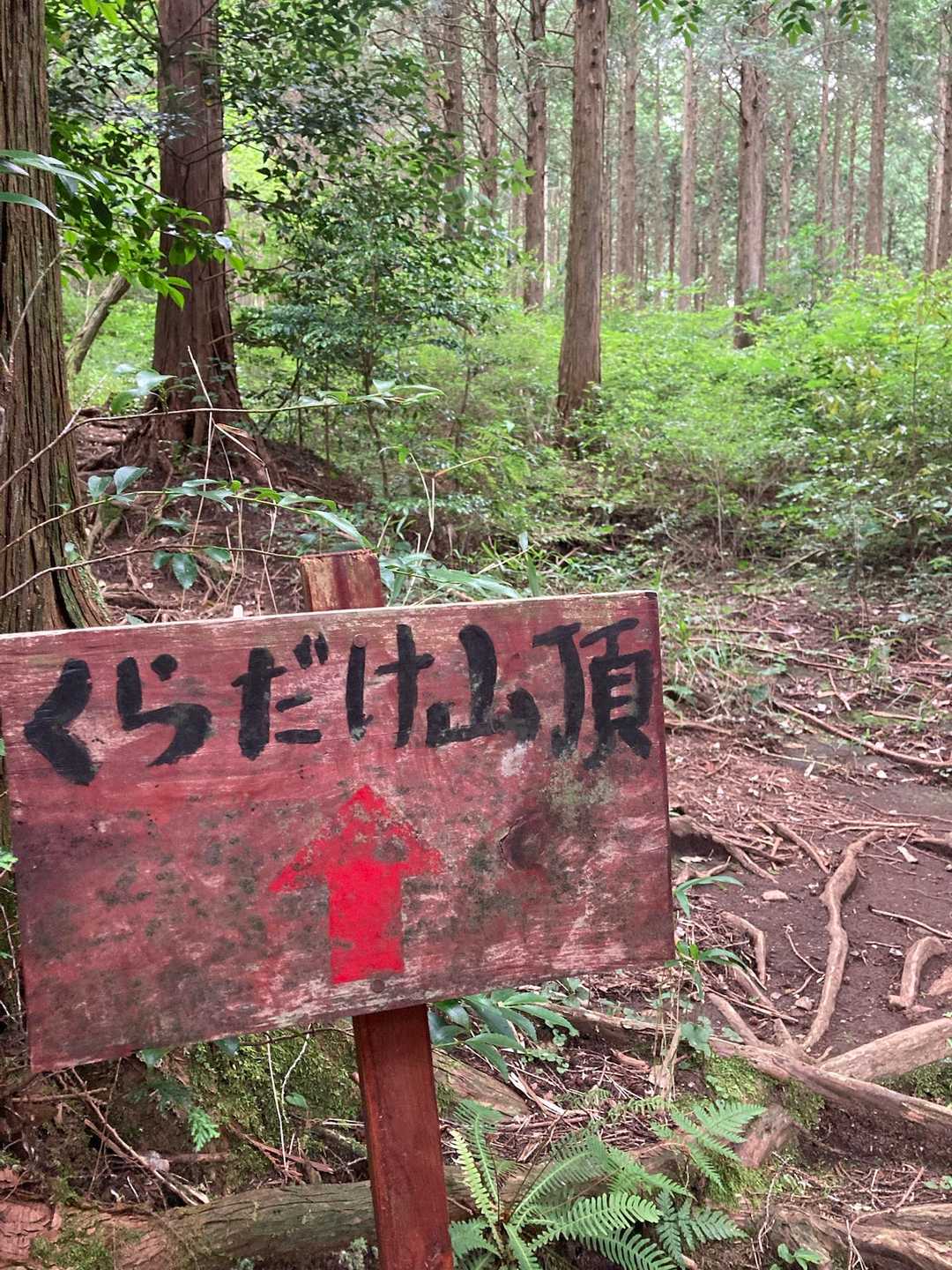 伏石登山口-鞍岳-ツームシ山 周回コースの写真