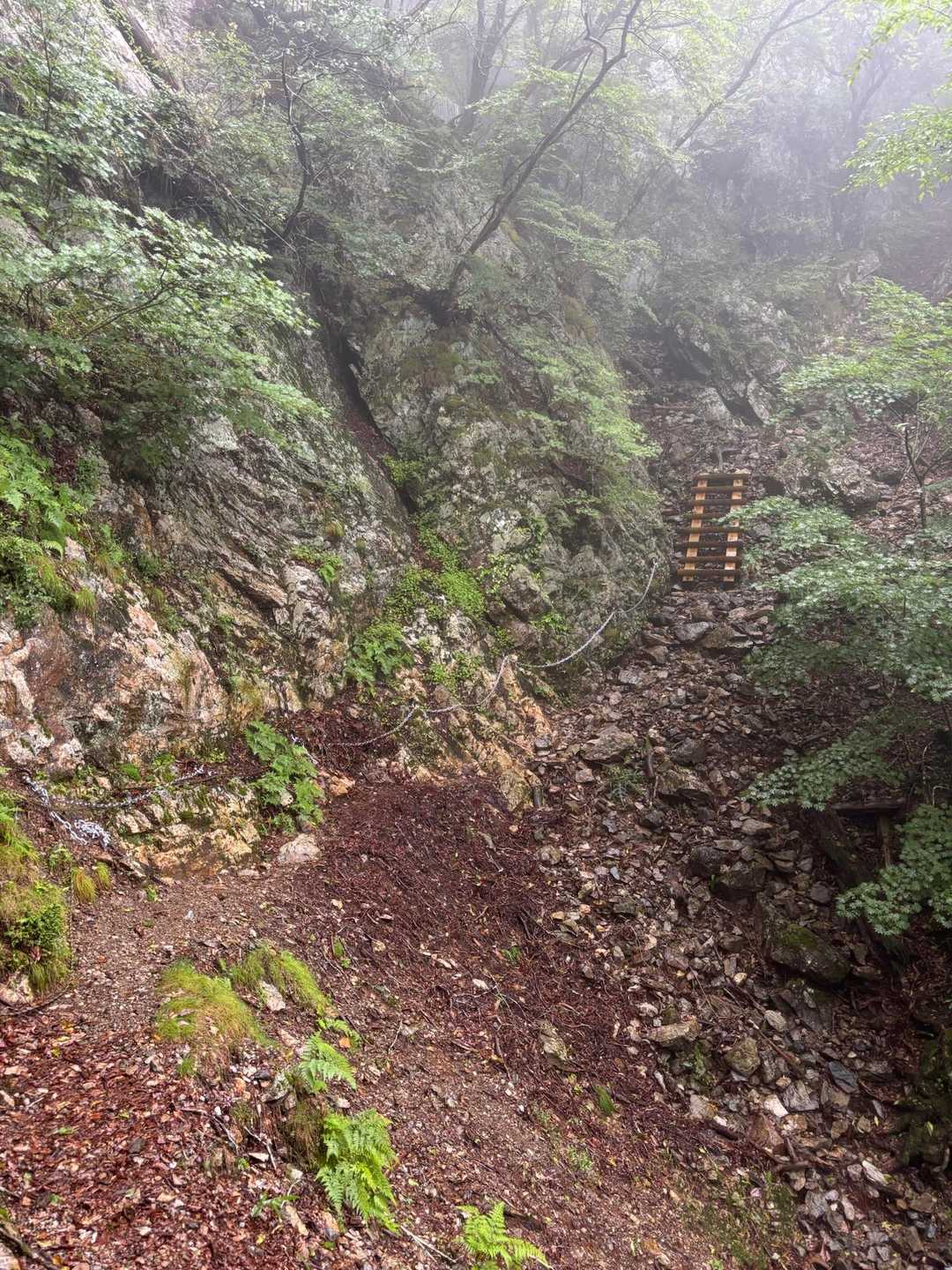 弥山登山口-行者還岳 往復コースの写真