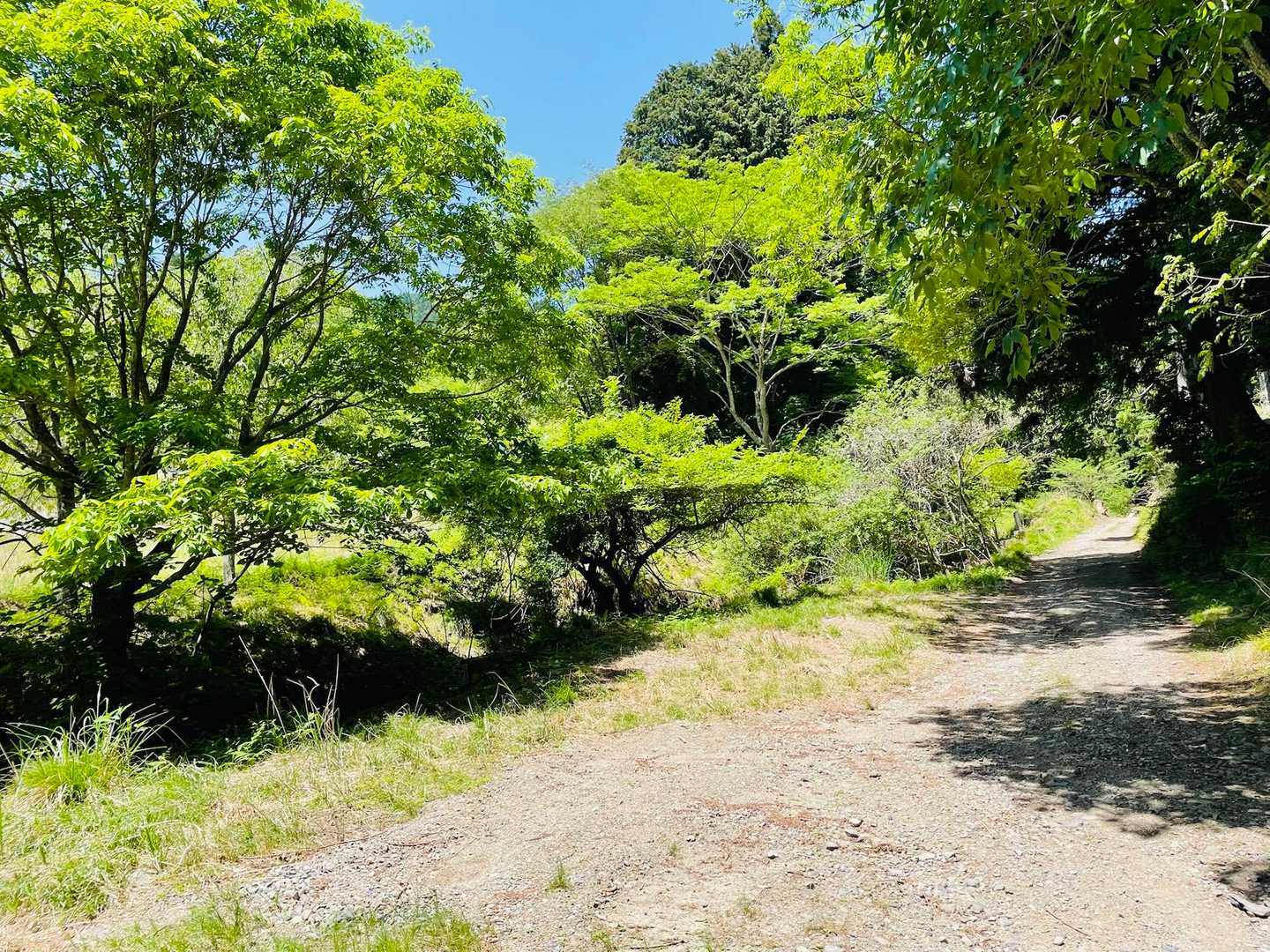 駐車場から雲取山に向けて少し歩いた所の空地
前回5年前に登った時は、300円をケチってここに駐車したのを思い出す😅