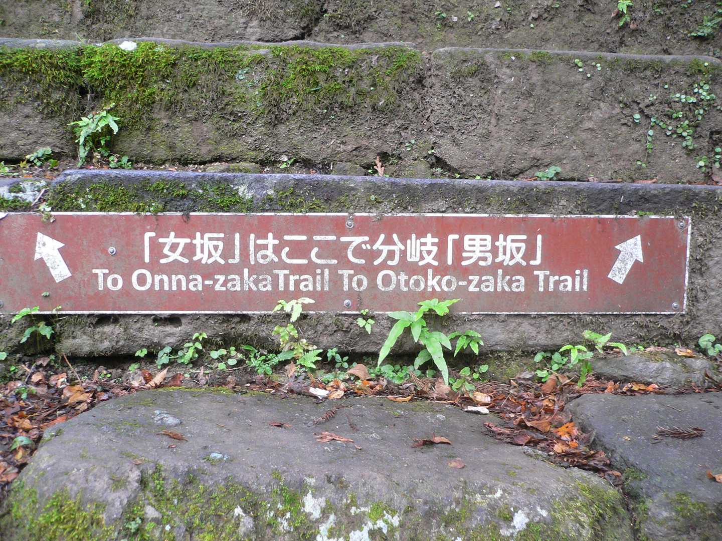 お連れ様がどっちにしようか迷っているので