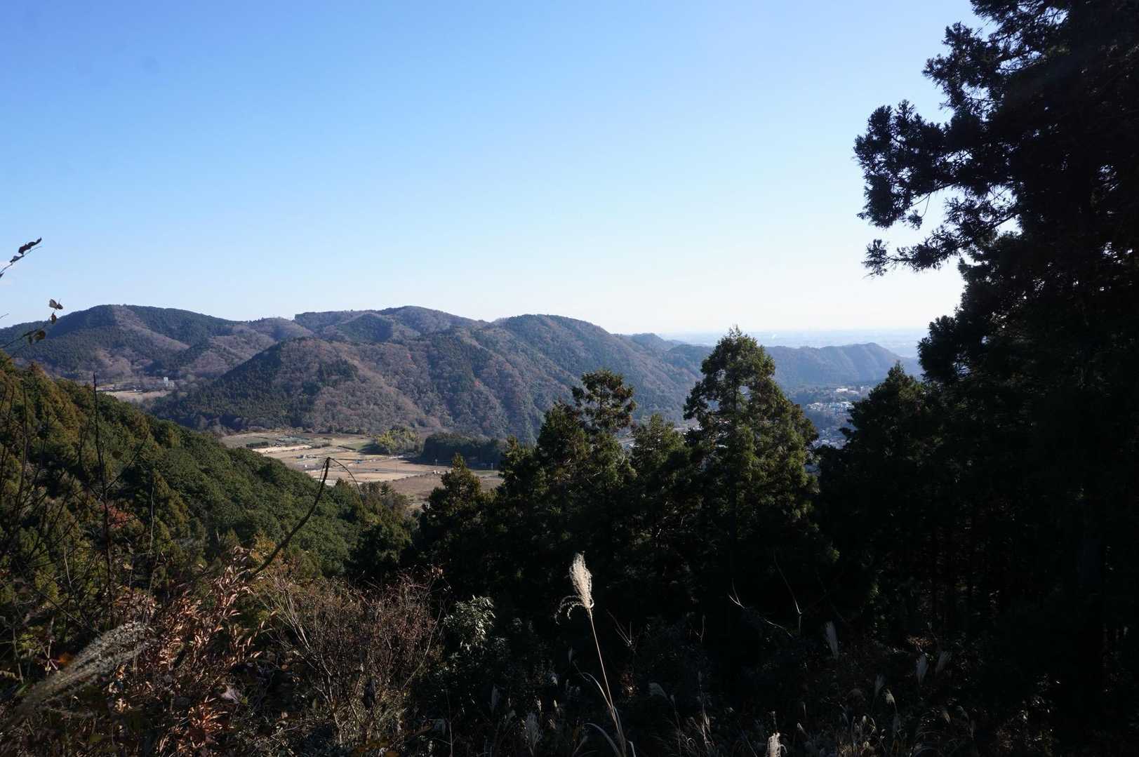 あの山の向こうは津久井湖が有る。あの山塊は向山やら雨乞山やらの幾つかのピークだ