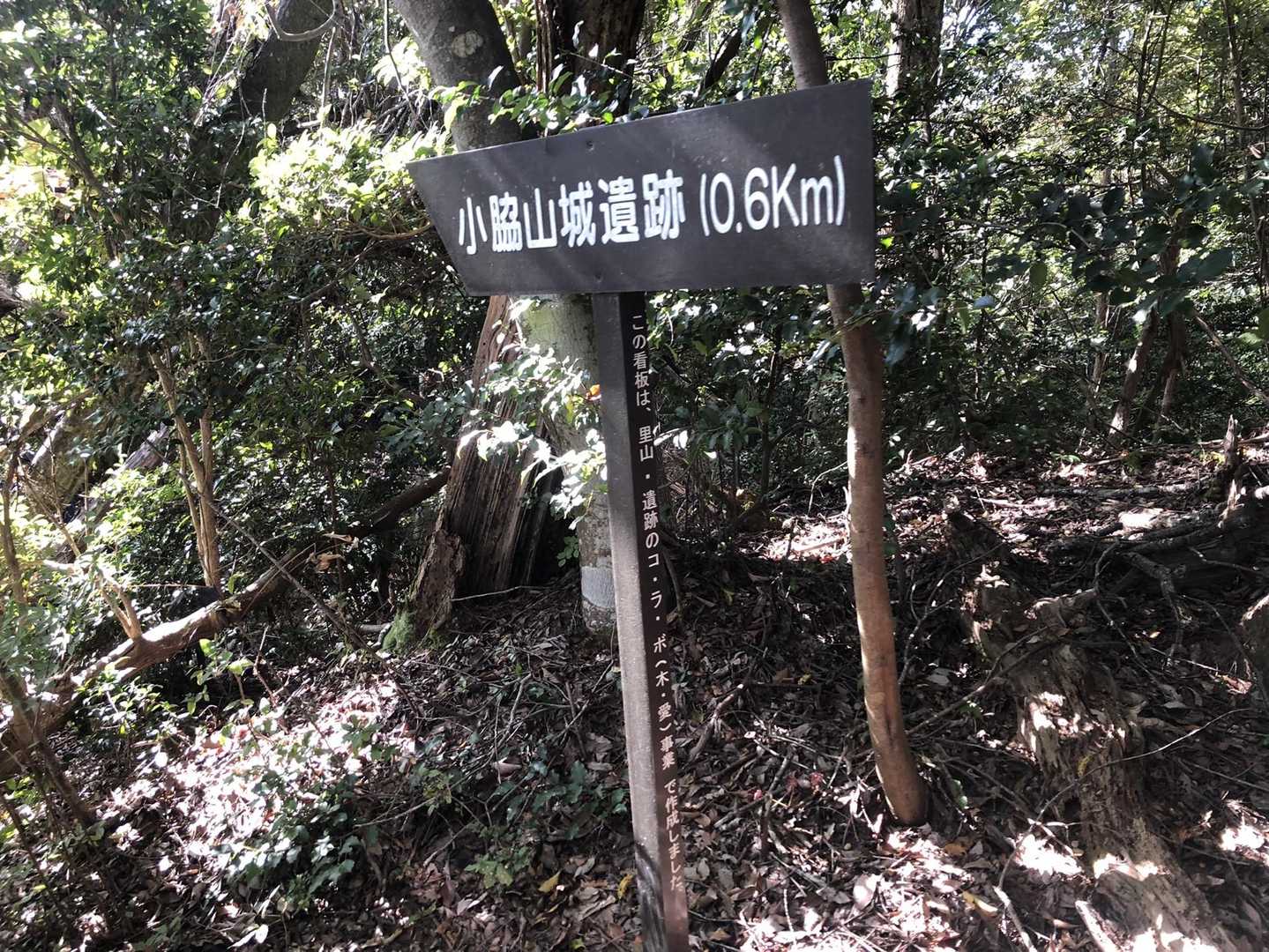三つ目の小脇山へ向かいます。山道は終始平坦な
尾根道で歩きやすい♫