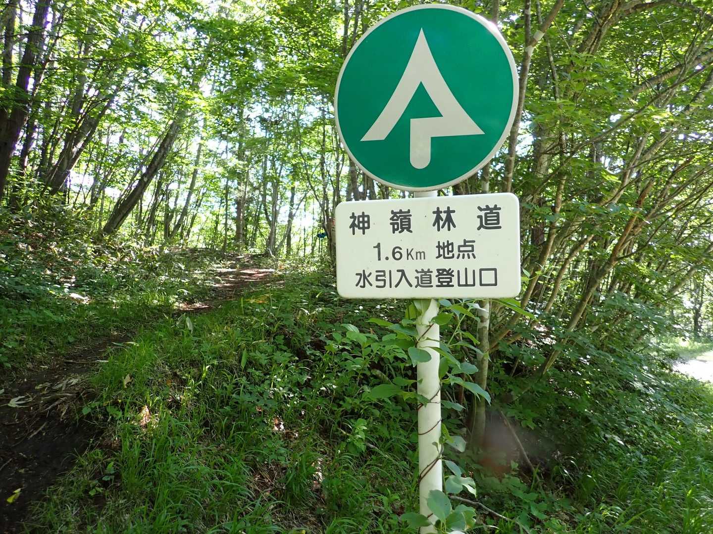 ジャンボリーコース！