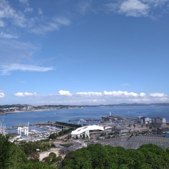 臨時特急男体山見晴らし号