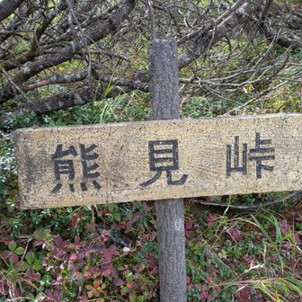 熊は居ない峠らしい