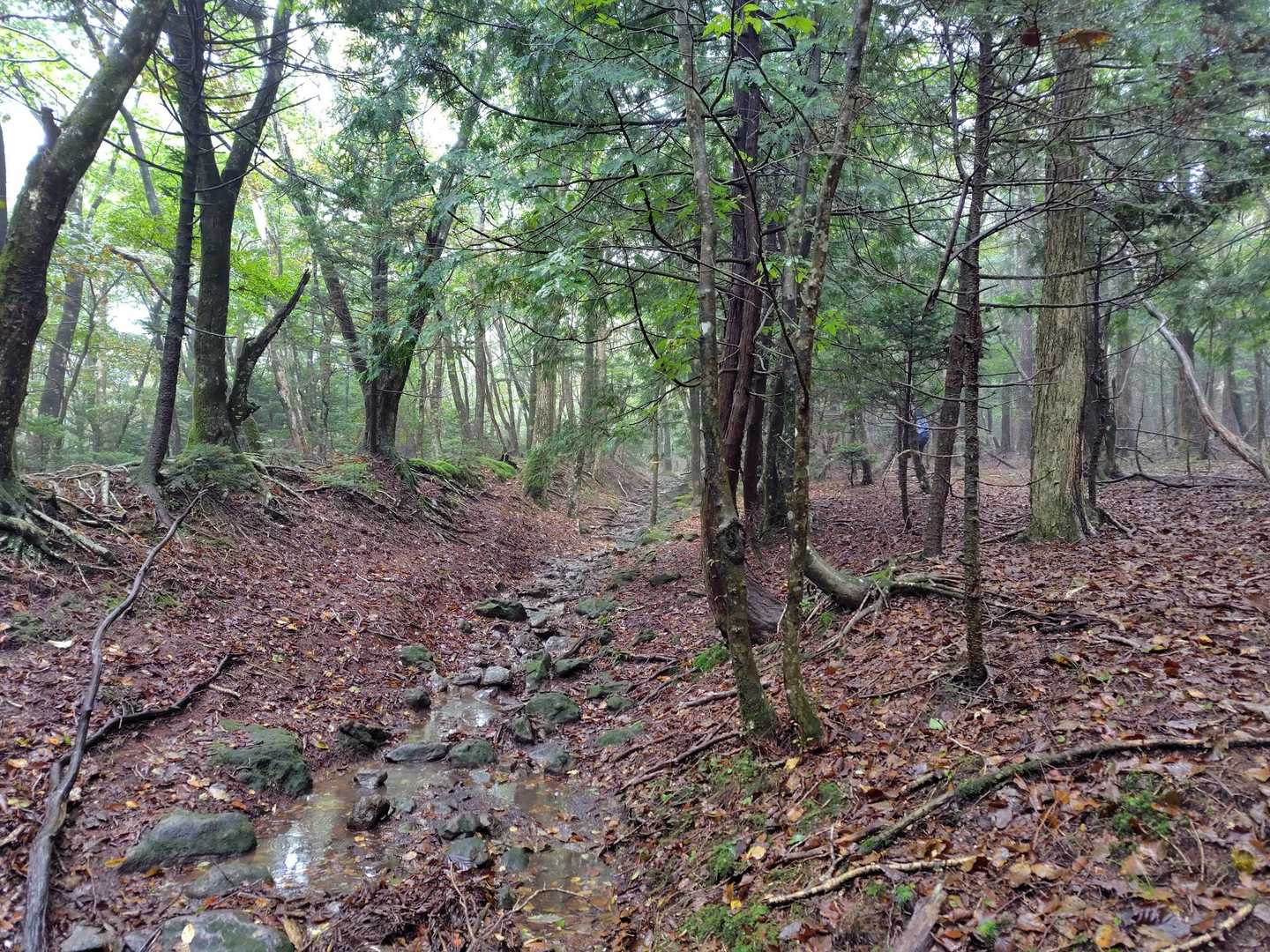 雰囲気が良いので写真撮影してみました📸
かな師匠も写ってますがわかりますか？