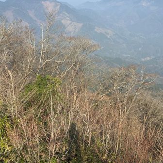 私の影　右あたりにピンクが見えた