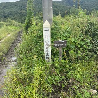 極楽寺コースで登ります😊
