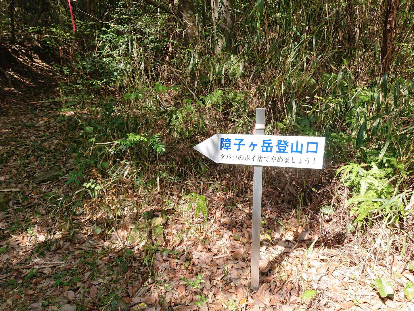 登山口へ