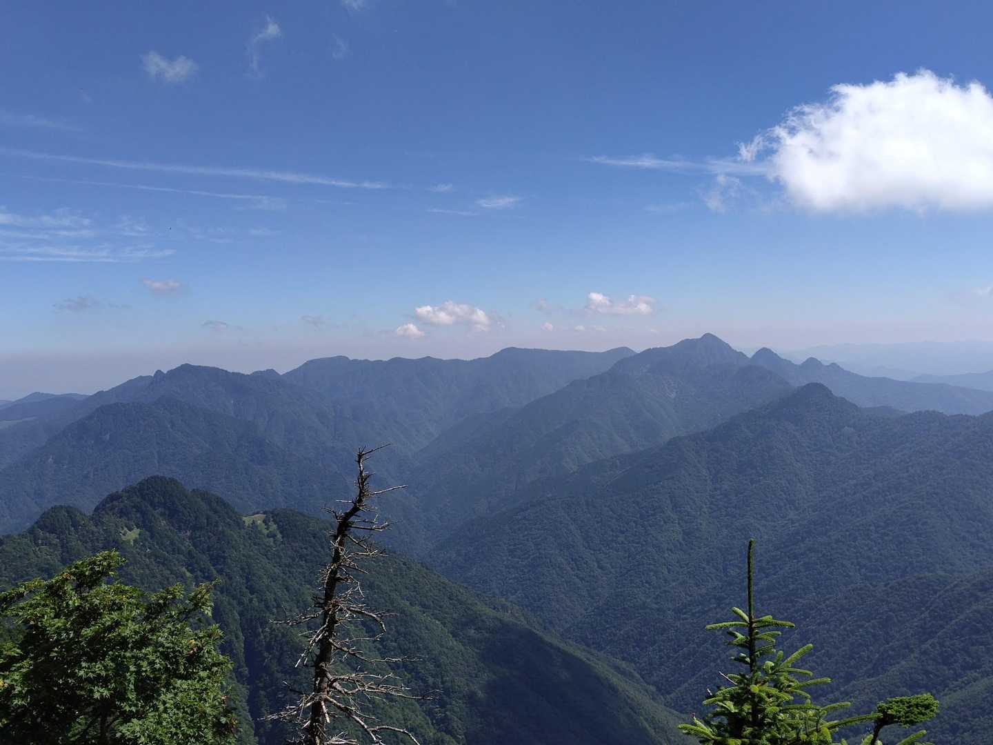 ずらり並んだピークに感動‼️　
山上ヶ岳➡行者還岳🤩
