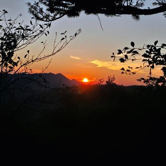 ...な訳で、レディと別れた👋慌てて登山口辺りまで引き返すも見つからない🤣今度はゆっくり冷静にキョロキョロしながら登り返す...