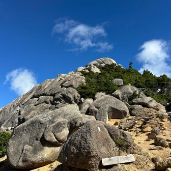 大日岩に着きました
同行者がいたらここも登りたいんだけど😗