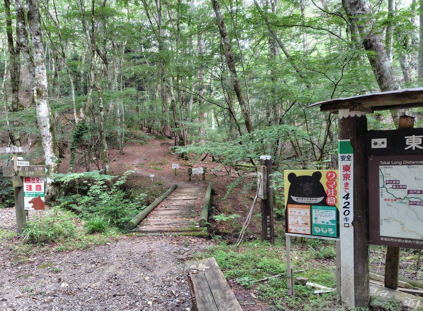 砂利道から登山道へ