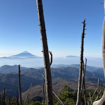 鉄山の奥にビューポイント
迂回してたら出会えなかった