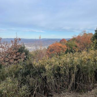 今日は大山見えず