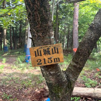 看板あった〜山城山