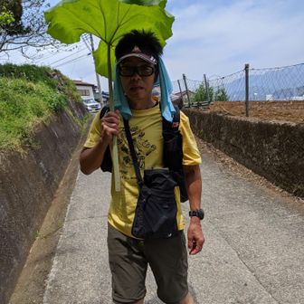 ハンモックハイカー