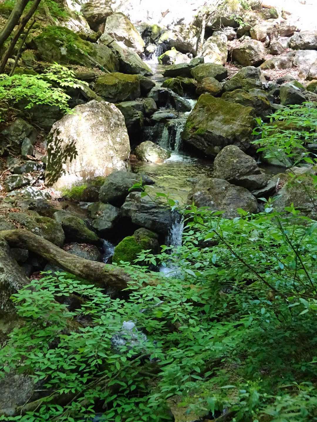 鷹ノ巣山-水根山-城山-十二天山-絹笠山-六ツ石山・石尾根 縦走コースの写真