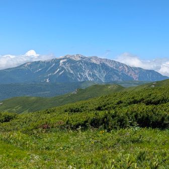 同じく薬師岳