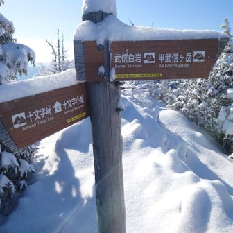大山山頂、何気にここの下りも急坂