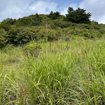 もうすぐ三本杭ピーク⛰️