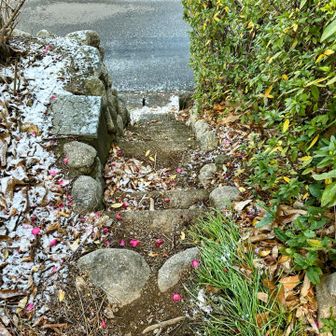 ここは西登山口♡
登ってみてわかったのは…東登山口から西登山口で良かった！