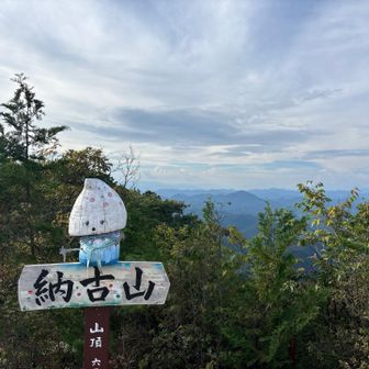 ノこりん、はじめましてー🖐️